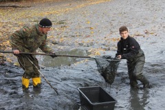 Abfischen Nützelbachsee 2023