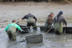 23edc27c-c5c0-42b6-bd9a-9baf6a5cf6f9