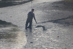 Ablassen Nützelbachsee 2017