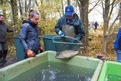 Nuetzelbachsee-2021-10