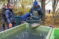 Nuetzelbachsee-2021-11