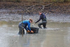 Nuetzelbachsee-2021-31