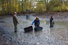 Nuetzelbachsee-2021-20