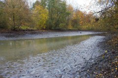 Nuetzelbachsee-2021-28