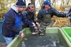 Nuetzelbachsee-2021-38