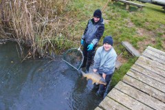 Nuetzelbachsee-2021-67