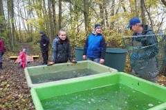 Nuetzelbachsee-2021-8