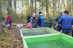 Nuetzelbachsee-2021-9