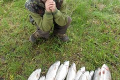 VLUU L200  / Samsung L200