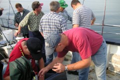 KONICA MINOLTA DIGITAL CAMERA