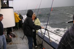 KONICA MINOLTA DIGITAL CAMERA