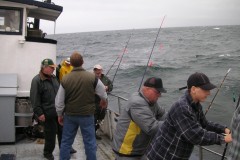 KONICA MINOLTA DIGITAL CAMERA