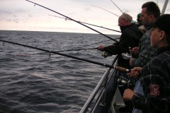 KONICA MINOLTA DIGITAL CAMERA