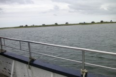 KONICA MINOLTA DIGITAL CAMERA