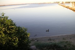 KONICA MINOLTA DIGITAL CAMERA