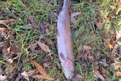 7bfb85ad-de55-439f-8cc3-59c566f80fe3