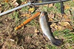 cf6227d2-9b50-47a9-b899-5f94d37ebea1