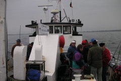 KONICA MINOLTA DIGITAL CAMERA