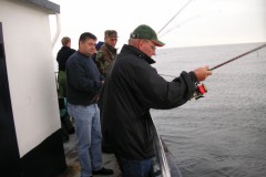 KONICA MINOLTA DIGITAL CAMERA