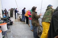 KONICA MINOLTA DIGITAL CAMERA