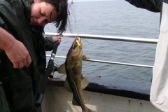 KONICA MINOLTA DIGITAL CAMERA