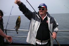 KONICA MINOLTA DIGITAL CAMERA