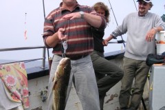 KONICA MINOLTA DIGITAL CAMERA