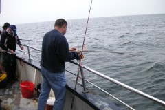 KONICA MINOLTA DIGITAL CAMERA