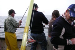 KONICA MINOLTA DIGITAL CAMERA