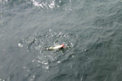 KONICA MINOLTA DIGITAL CAMERA