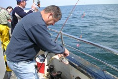 KONICA MINOLTA DIGITAL CAMERA