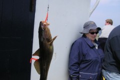 KONICA MINOLTA DIGITAL CAMERA