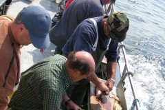 KONICA MINOLTA DIGITAL CAMERA