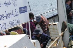 KONICA MINOLTA DIGITAL CAMERA