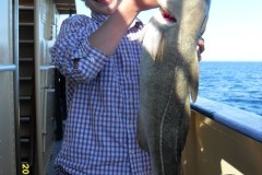 VLUU L200  / Samsung L200