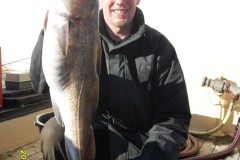 VLUU L200  / Samsung L200