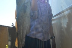 VLUU L200  / Samsung L200