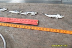 VLUU L200  / Samsung L200