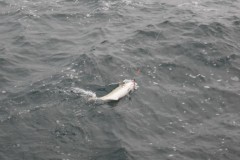 VLUU L200  / Samsung L200