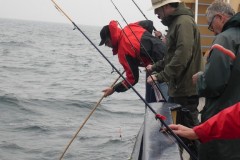 VLUU L200  / Samsung L200