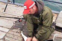 VLUU L200  / Samsung L200