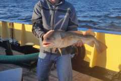 1133bffb-77d3-45af-a38d-47890abec39e