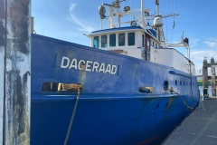 018938d5-7be3-4b3e-8fb6-e2349bb402e8