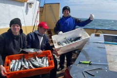 bb67cbb7-329c-4963-823b-ab3e3ffaa75d