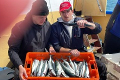 d1dd20dd-9bee-4d4b-8d50-b69509cc7dca