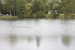 Koenigsangeln-2021-8