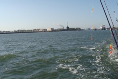 dsc04690_klein