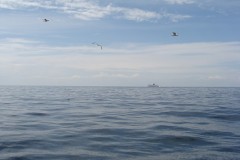 dsc04754_klein