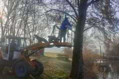 WhatsApp-Image-2026-03-17-at-17.26.49